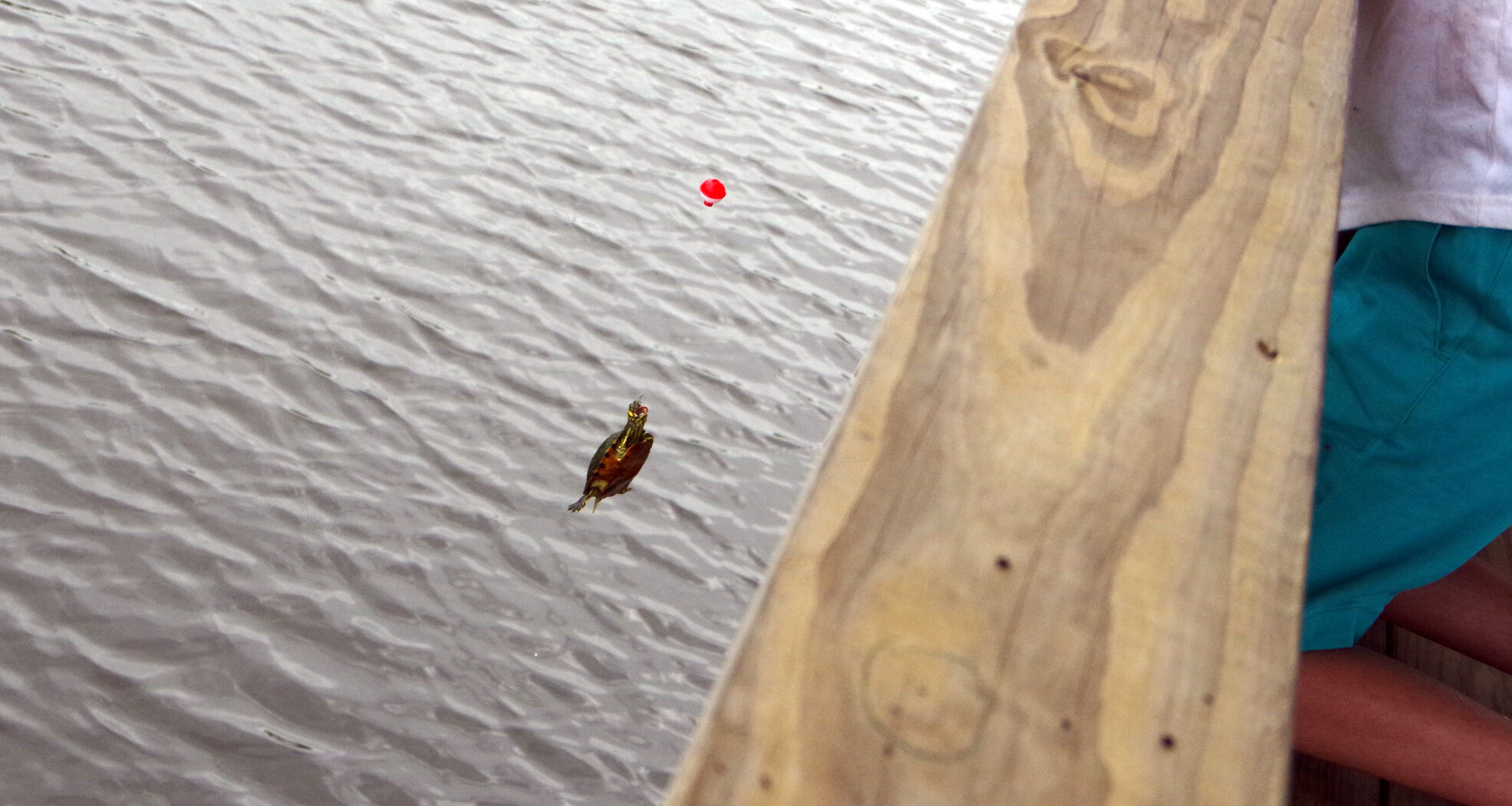 Fishing Derby